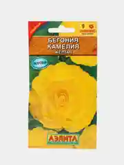 Бегония крупноцветковая "Камелия желтая", драже в пробирке