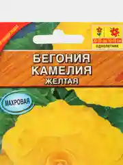 Бегония крупноцветковая "Камелия желтая", драже в пробирке