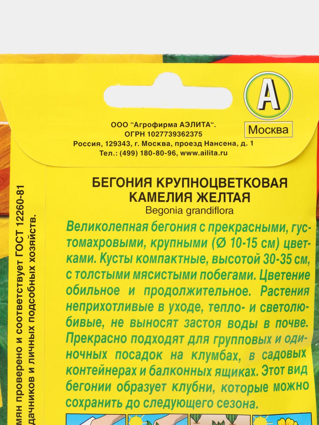 Бегония крупноцветковая "Камелия желтая", драже в пробирке