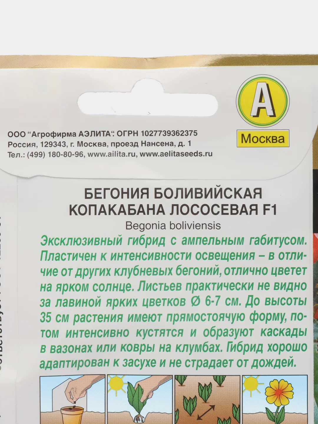 Бегония "боливийская Копакабана F",1 лососевая, драже в пробирке, Золотая серия