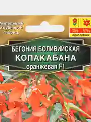 Бегония боливийская "Копакабана F1", оранжевая, драже в пробирке, золотая серия