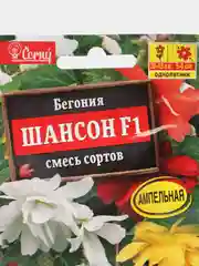 Бегония ампельная "Шансон F1", смесь сортов, драже в пробирке, селекция Cerny