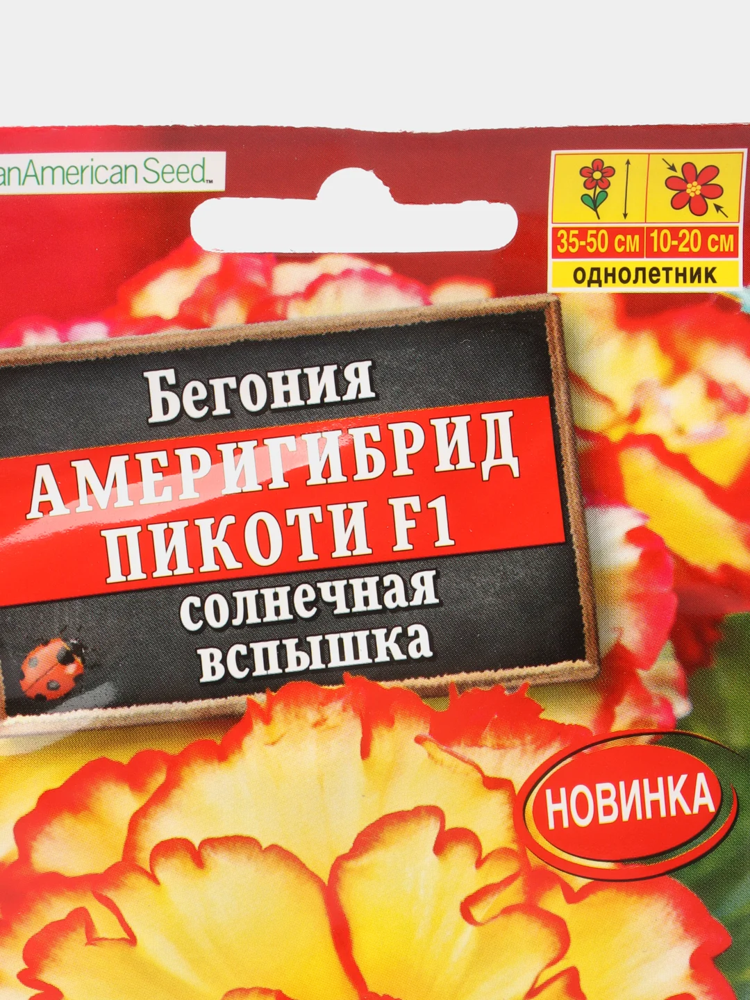 Бегония Америгибрид Пикоти F1, солнечная вспышка, драже в пробирке, Сел. PanAmerican