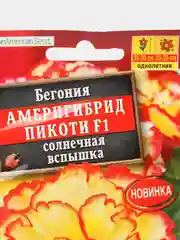 Бегония Америгибрид Пикоти F1, солнечная вспышка, драже в пробирке, Сел. PanAmerican