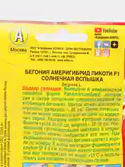Бегония Америгибрид Пикоти F1, солнечная вспышка, драже в пробирке, Сел. PanAmerican