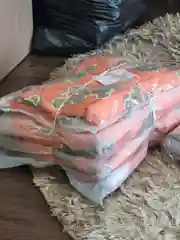 Свитшот женский, с принтом