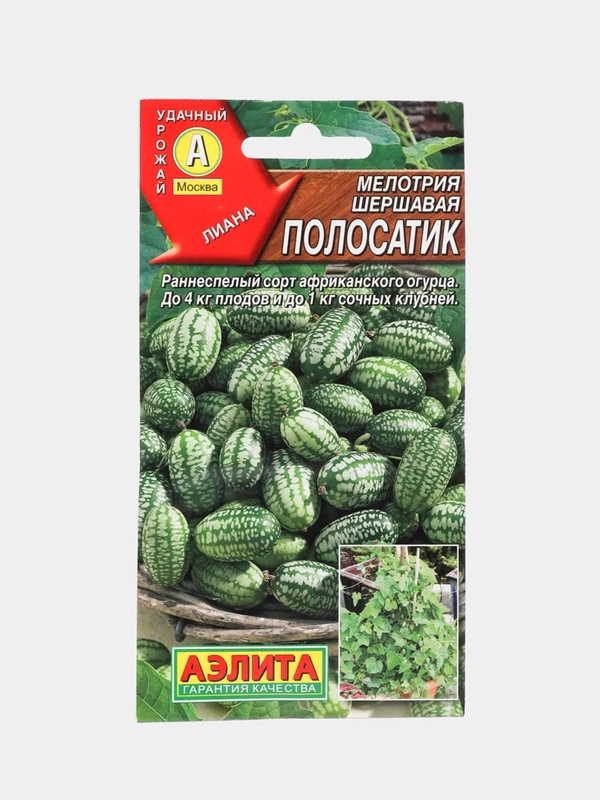 Семена Аэлита, мелотрия шершавая "Полосатик"