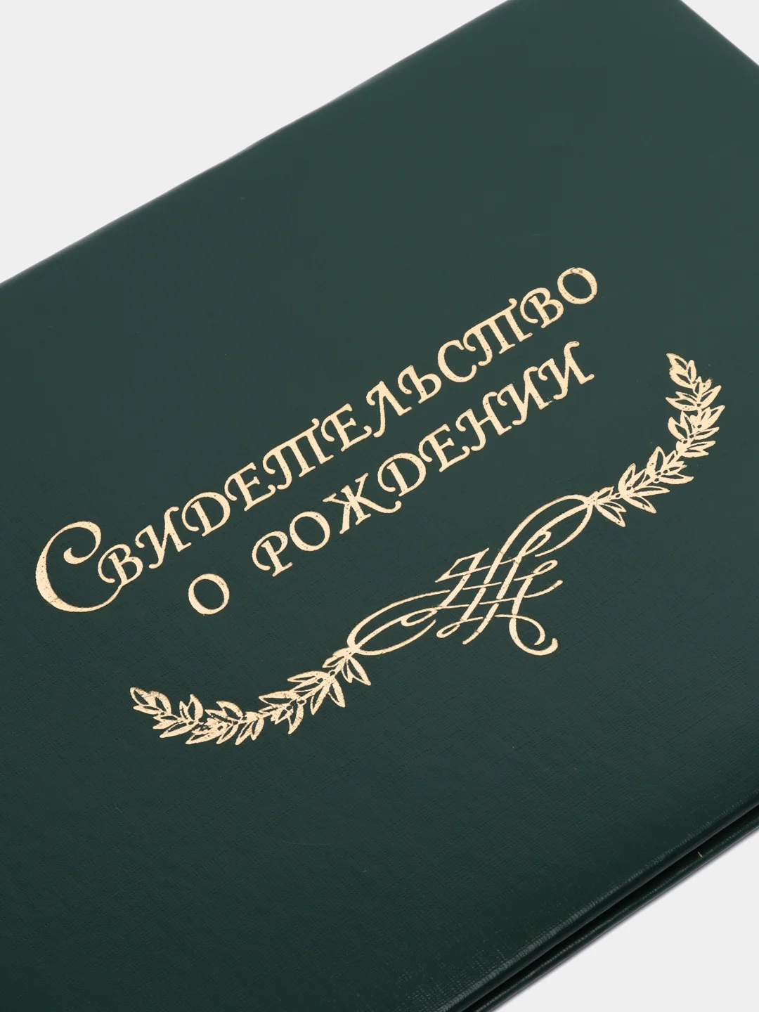 Зеленый обложка для свидетельства о рождении, разные цвета, 22 х 16 см