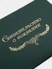Зеленый обложка для свидетельства о рождении, разные цвета, 22 х 16 см