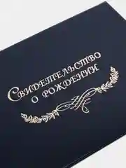 Синий обложка для свидетельства о рождении, разные цвета, 22 х 16 см