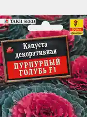 Капуста декоративная "Пурпурный голубь F1", Селекция Takii Seed, семена
