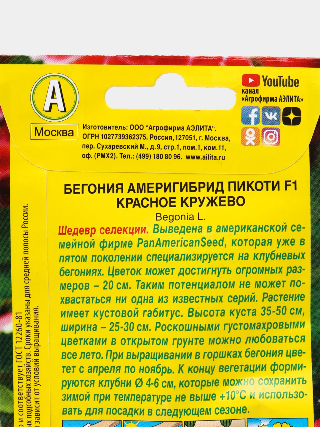 Бегония Америгибрид Пикоти F1 красное кружево, драже в пробирке, Сел. PanAmerican