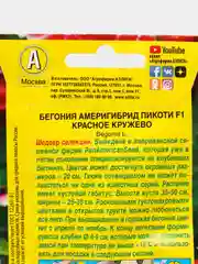 Бегония Америгибрид Пикоти F1 красное кружево, драже в пробирке, Сел. PanAmerican