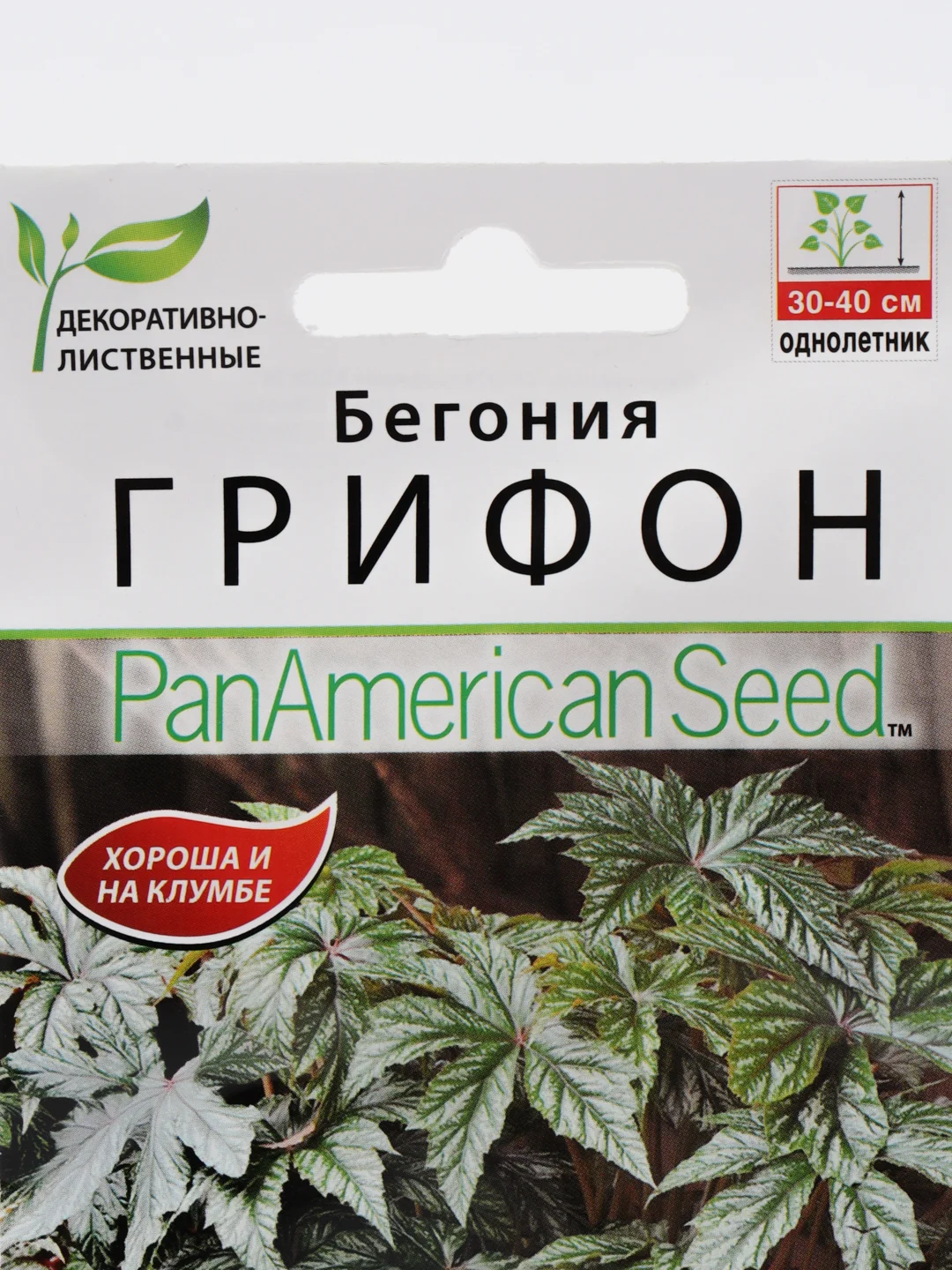 Бегония "Грифон", драже в пробирке, селекция PanAmerican, семена