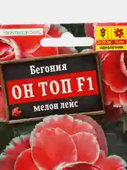 Бегония "Он Топ F1", мелон лейс, драже в пробирке, Сел. PanAmerican