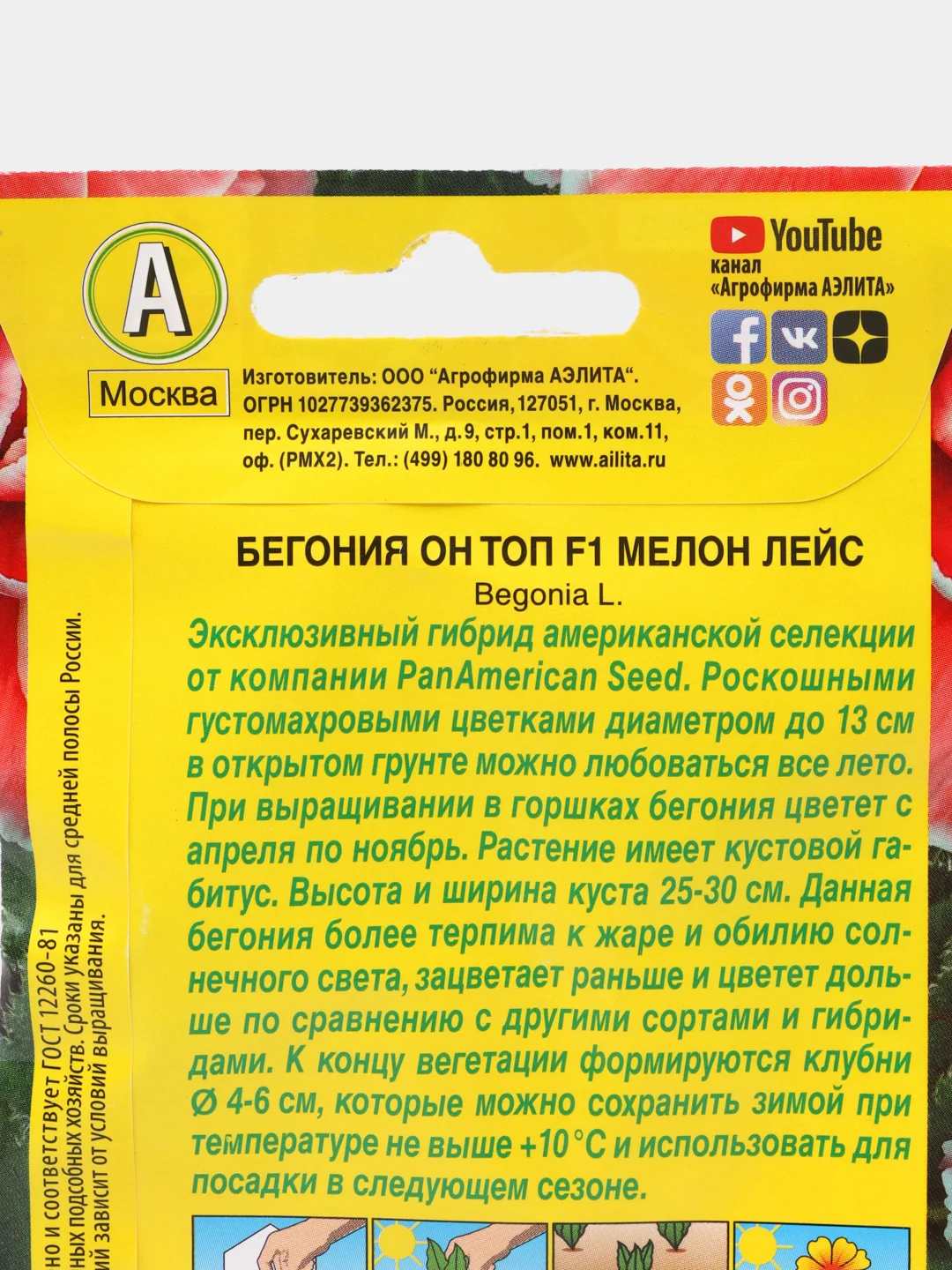 Бегония "Он Топ F1", мелон лейс, драже в пробирке, Сел. PanAmerican
