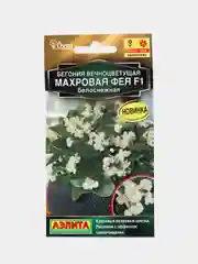Бегония вечноцветущая "Махровая фея F1", белоснежная, драже в пробирке, селекция Cerny