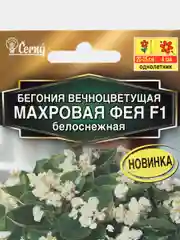 Бегония вечноцветущая "Махровая фея F1", белоснежная, драже в пробирке, селекция Cerny