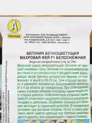 Бегония вечноцветущая "Махровая фея F1", белоснежная, драже в пробирке, селекция Cerny