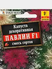 Капуста декоративная "Павлин F1", смесь сортов, семена