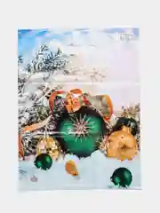 Ледяной пакет новогодний, 30 х 40 см, комплект 5 штук, 10 штук