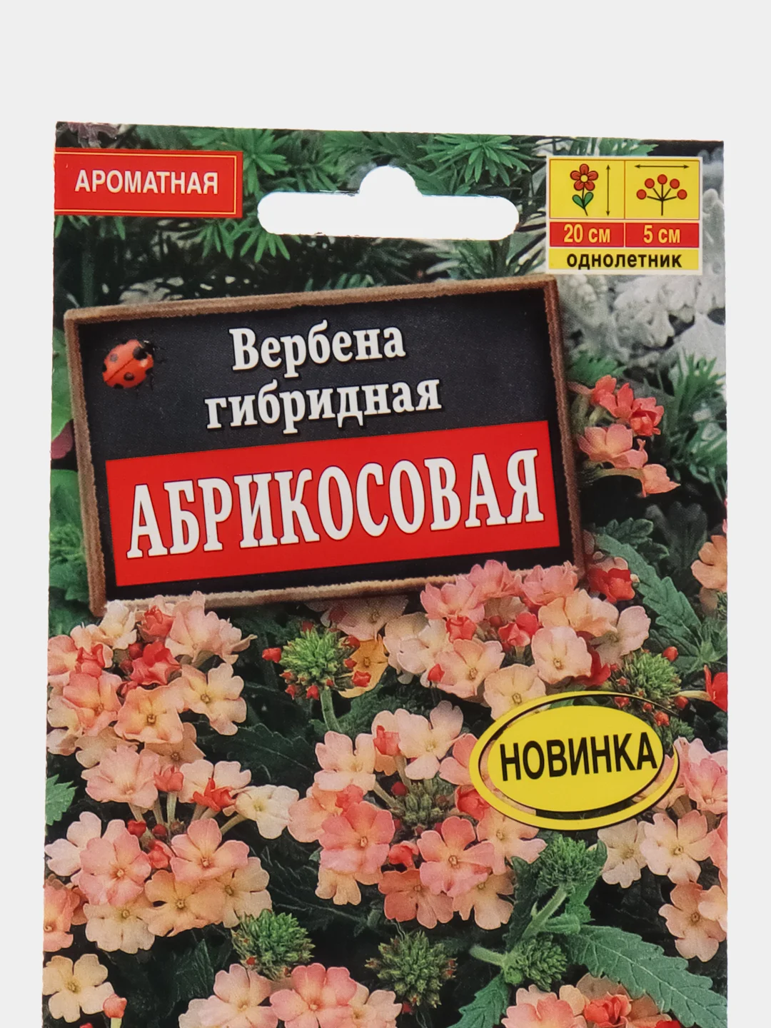 Вербена Абрикосовая, семена