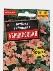 Вербена Абрикосовая, семена