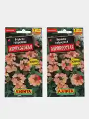 Вербена Абрикосовая, семена