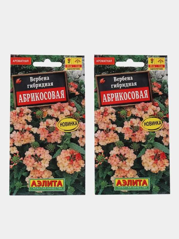 Вербена Абрикосовая, семена