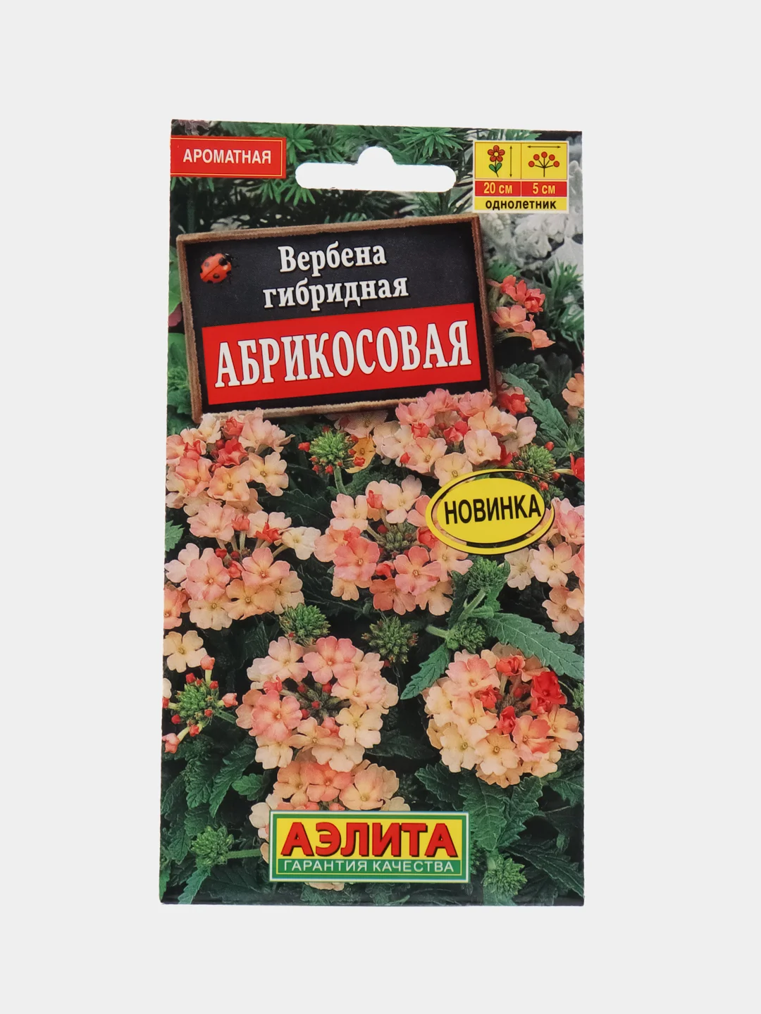 Вербена Абрикосовая, семена