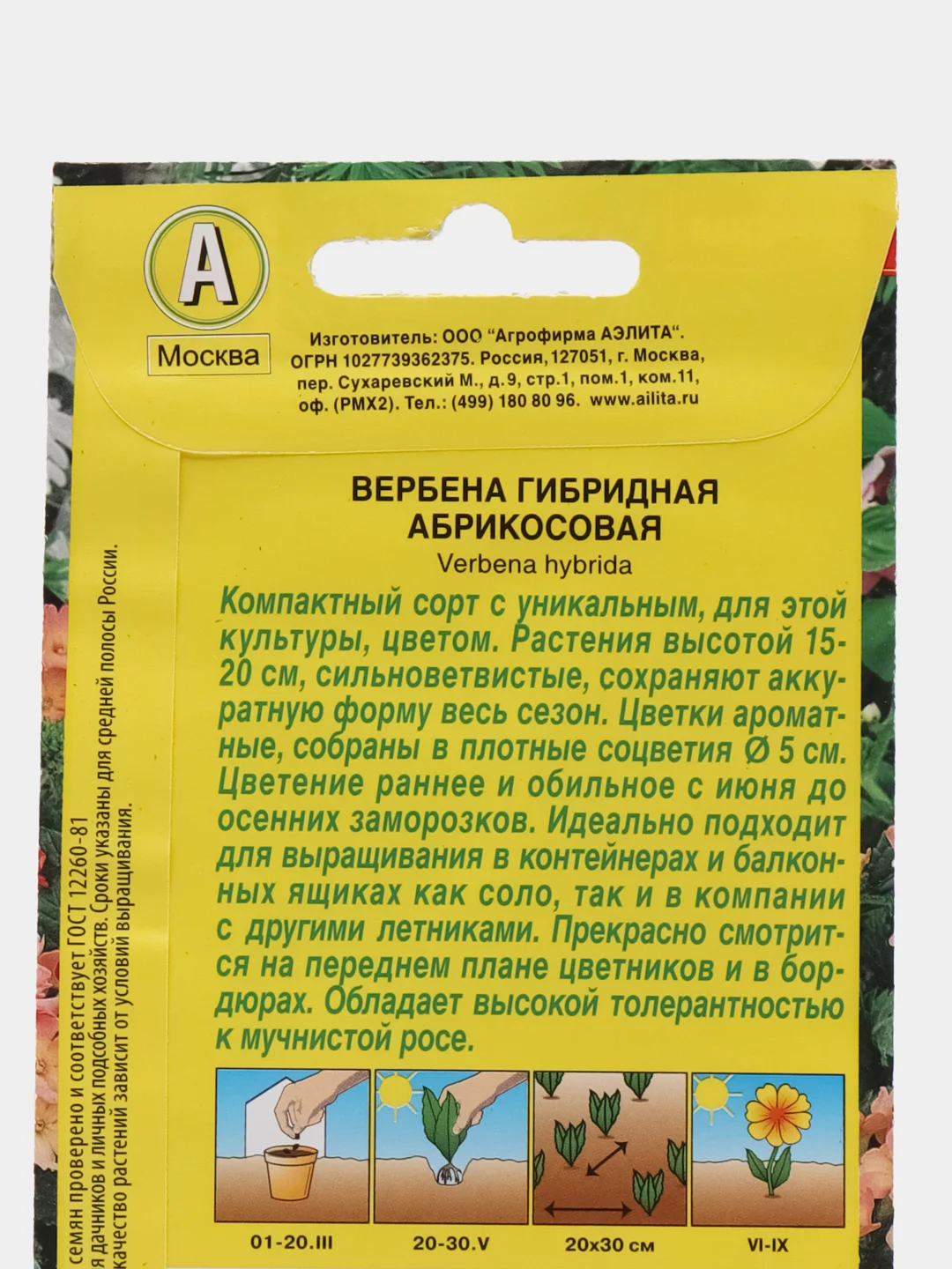 Вербена Абрикосовая, семена