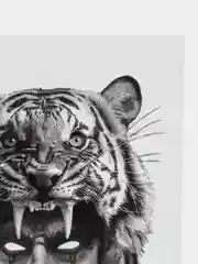 Белый временное мужское тату, викинг, переводная тату, tatto