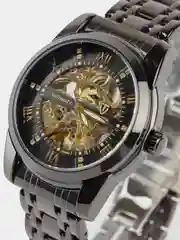 Черный мужские наручные механические часы TEVISE 9005 с автоподзаводом