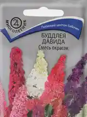 Буддлея Давида "Смесь окрасок", 10 шт, Поиск