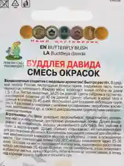 Буддлея Давида "Смесь окрасок", 10 шт, Поиск