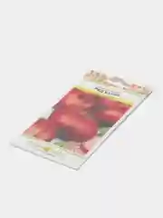 Лук репчатый Ред Барон, 1 г, НК