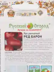 Лук репчатый Ред Барон, 1 г, НК