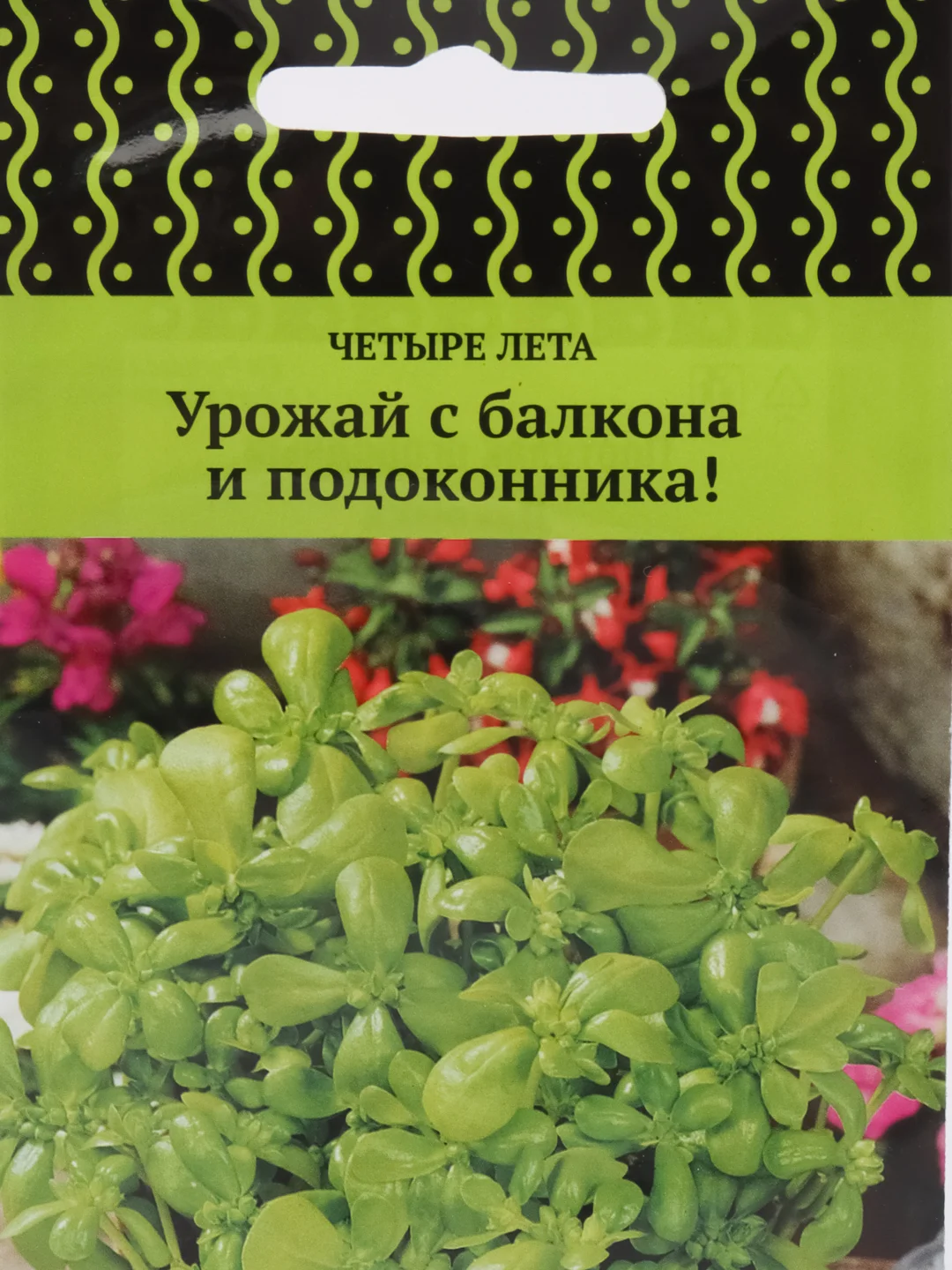 Портулак огородный Лакомка, 20 штук, Поиск