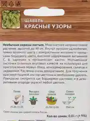 Семена Щавель "Красные узоры" 0,01 г (Поиск)