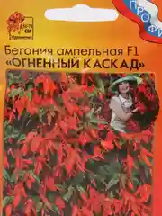 Бегония "Огненный каскад" F1 ампельная 5 шт (НК)