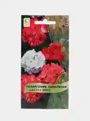Пеларгония зональная "Люстра", микс, 5 шт, Поиск