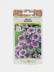 Мальва Шток-роза Зебрина, 0,2 г, НК