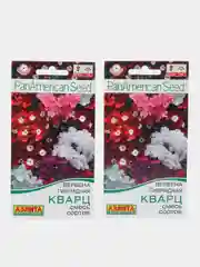 Вербена "Кварц", смесь сортов, спецсерия PanAmerican, семена