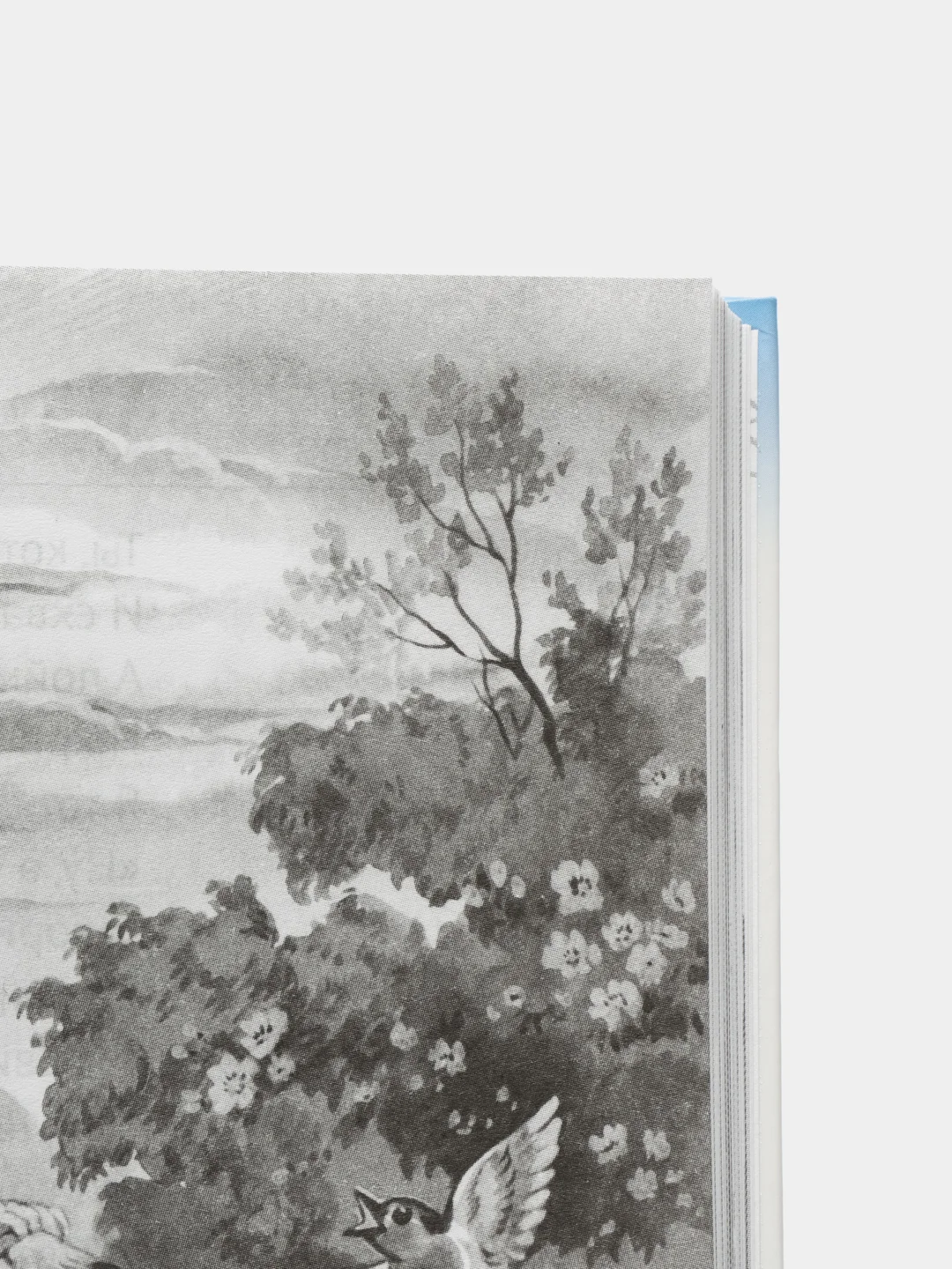 Детские книги, Школьная библиотека, П.Ершов "Конёк-Горбунок", 128 стр, Проф-Пресс