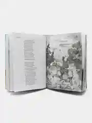 Детские книги, Школьная библиотека, П.Ершов "Конёк-Горбунок", 128 стр, Проф-Пресс