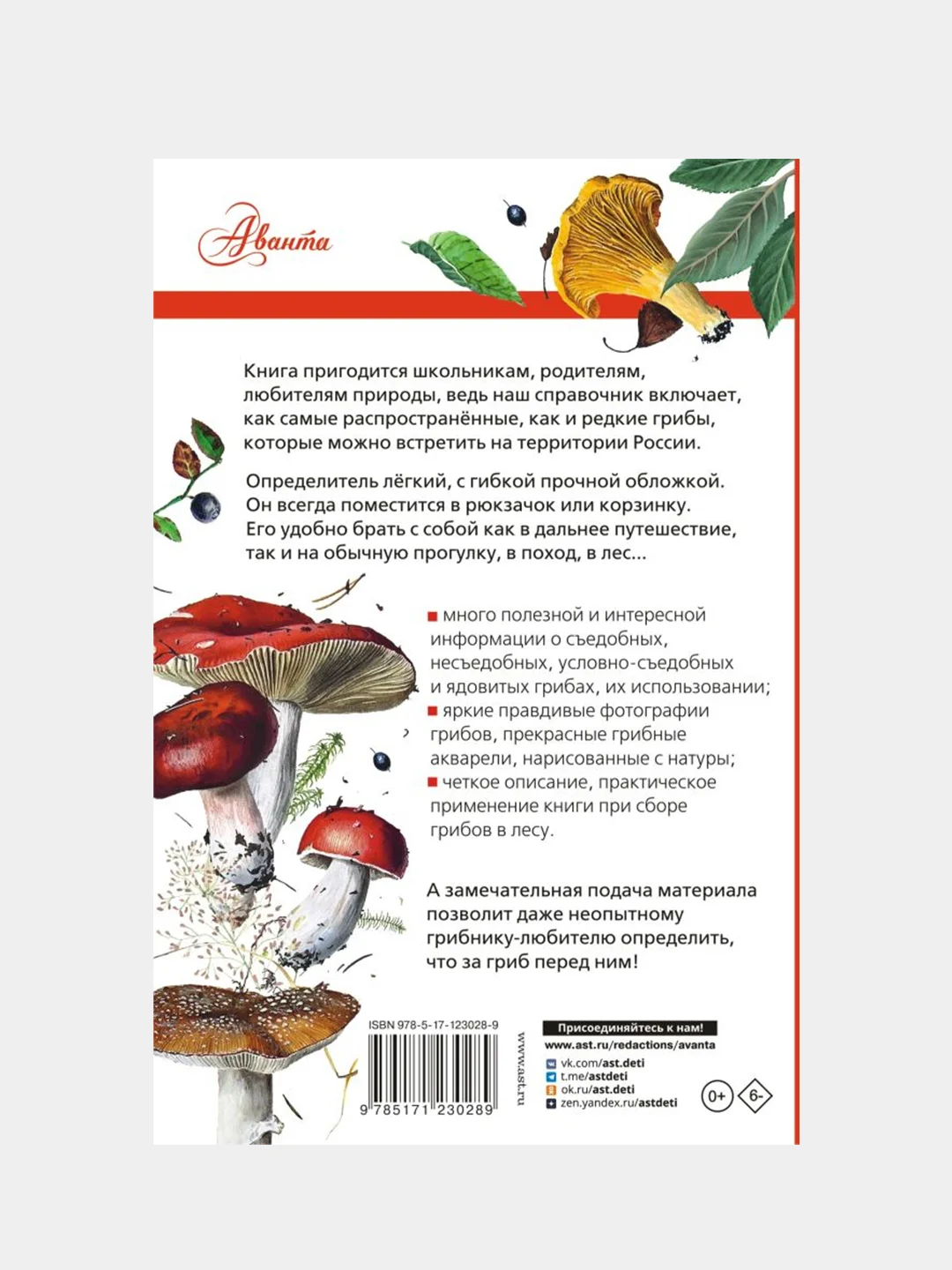 Грибы России. Определитель, Кривошеев Станислав