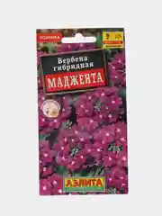 Вербена "Маджента", семена
