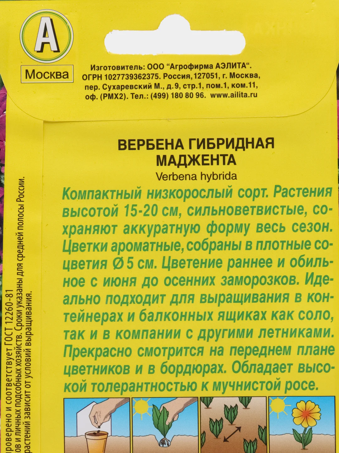 Вербена "Маджента", семена