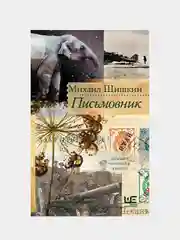 Письмовник, Шишкин Михаил