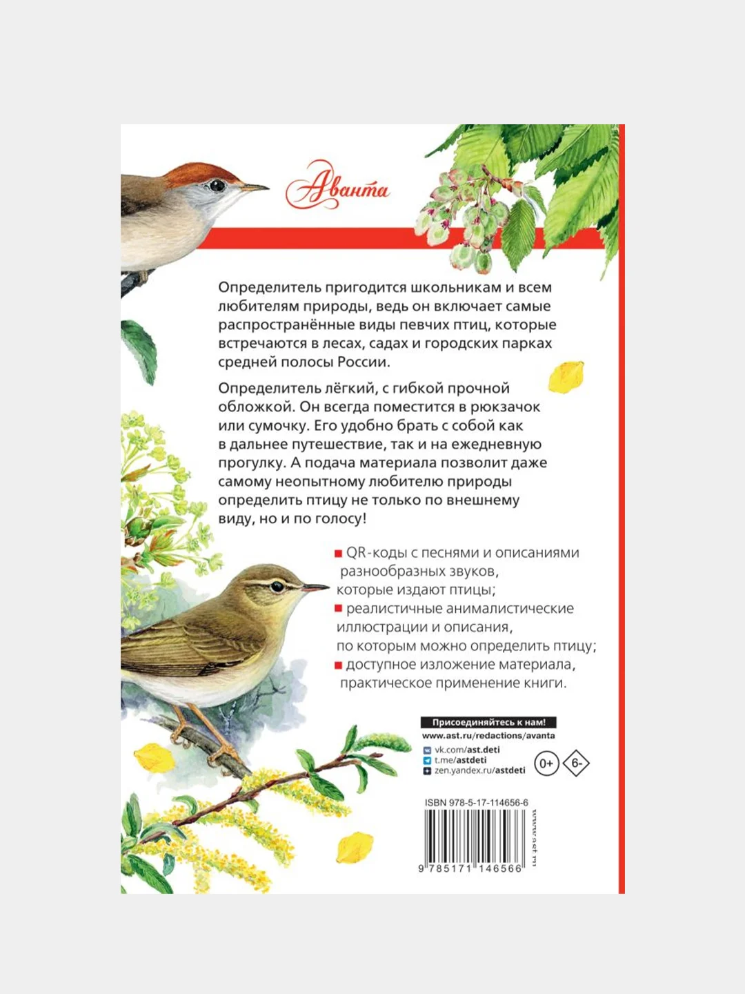 Певчие птицы. Средняя полоса европейской части России, Коблик Евгений, Архипов Владимир
